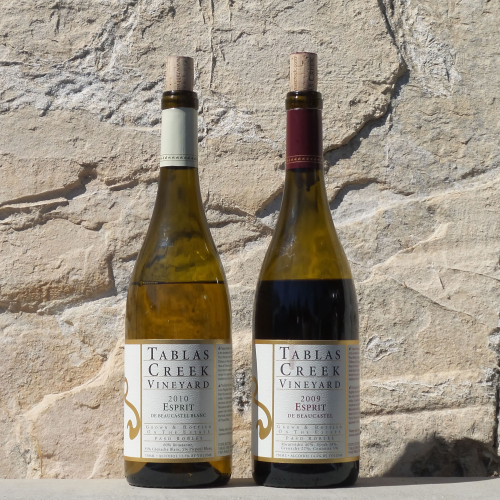 CE Wines 2016 Square CE Wines 2016 Square