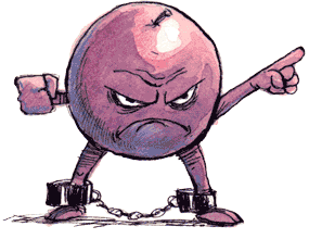 Freethegrapes Freethegrapes