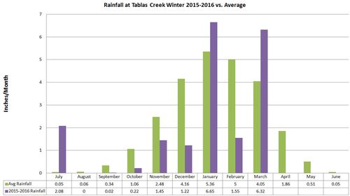 Winter Rainfall Winter Rainfall