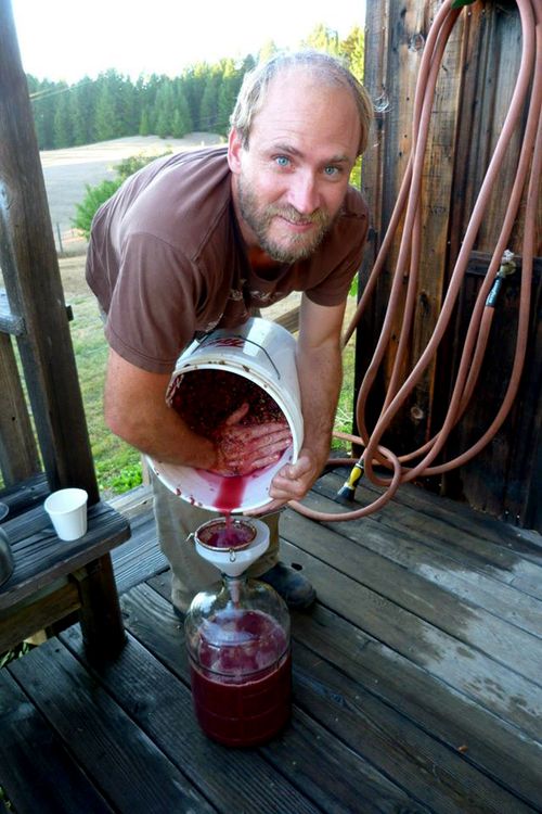 Winemaking Forrest Winemaking Forrest