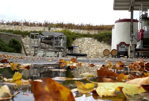 Winery and puddles Winery and puddles