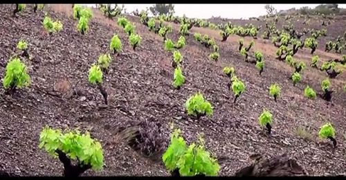 Priorat Priorat