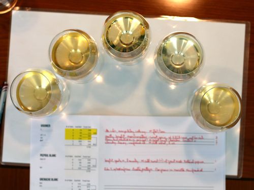 14_white_blending_glasses 14_white_blending_glasses