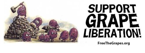 Free the grapes Free the grapes