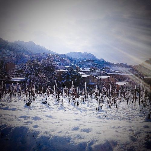 Snow in Gigondas Snow in Gigondas