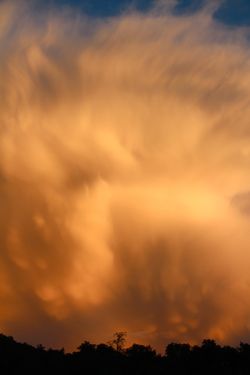 Sunset 2 Sunset 2