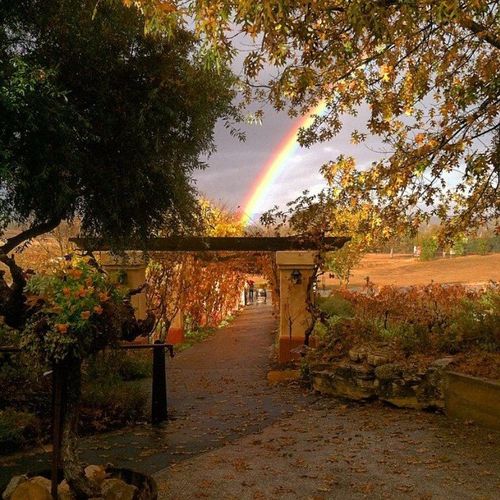 Castoro rainbow Castoro rainbow