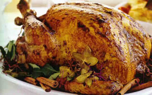 Turkey Turkey