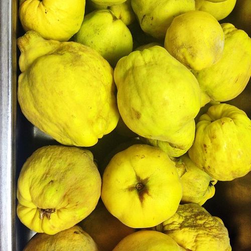 Artisan photo of quinces Artisan photo of quinces