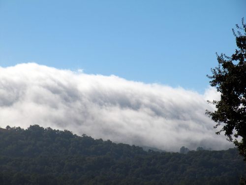 Changing seasons fog bank Changing seasons fog bank