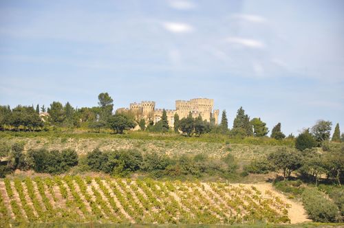 LM - Castle and vines LM - Castle and vines