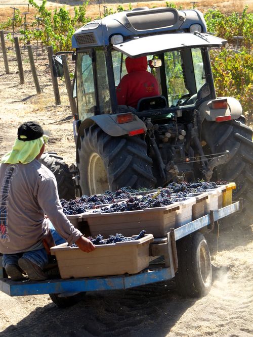 Sacrerouge bins Sacrerouge bins