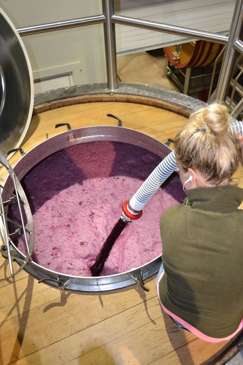 PumpOver Syrah PumpOver Syrah