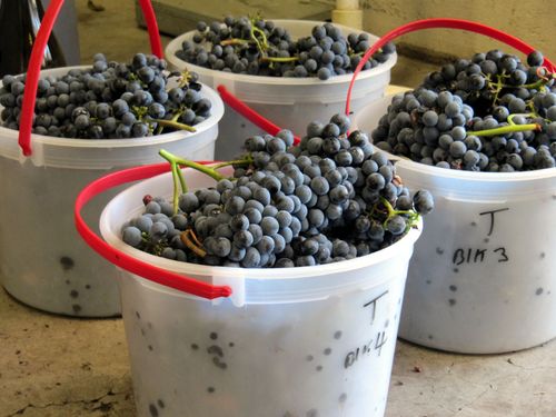 Sample buckets Sample buckets