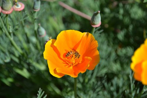DSC_2202_edit_1000
