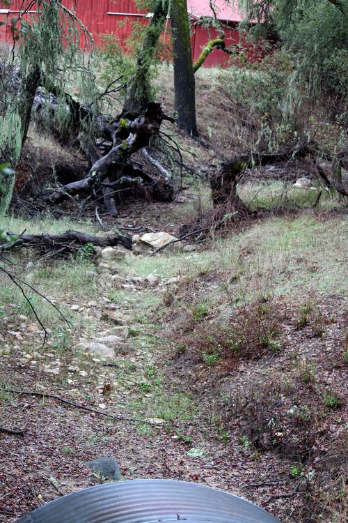Mar 02 View of Las Tablas Creek Mar 02 View of Las Tablas Creek