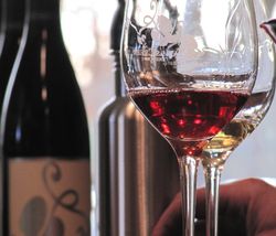 2004 Horizontal rose