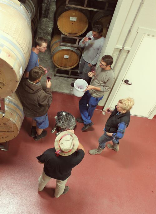 Harv13_CellarTasting Harv13_CellarTasting