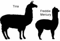 Tina and Freddie Tina and Freddie