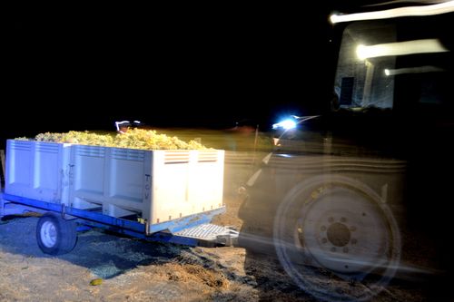 Night Harvest tractor moving Night Harvest tractor moving