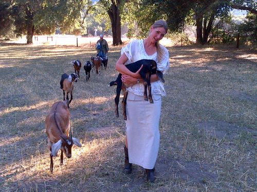 Shandi with goats Shandi with goats