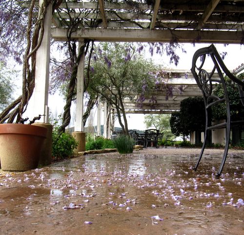 Rainy Patio Rainy Patio