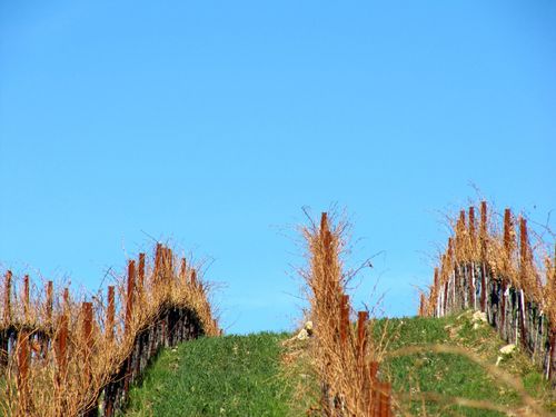 Blue_winter_sky_0001 Blue_winter_sky_0001