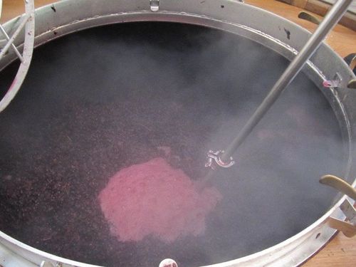 Syrah_in_upright Syrah_in_upright