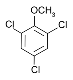 TCA TCA