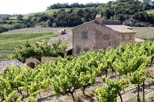 Vinsobres_house_with_vines Vinsobres_house_with_vines