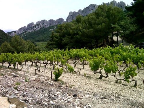 Gigondas Gigondas