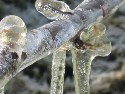 Ice_and_snow_0002 Ice_and_snow_0002