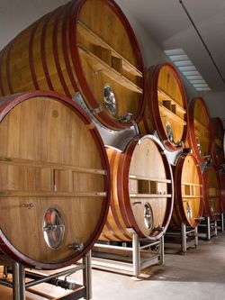 Foudres Foudres