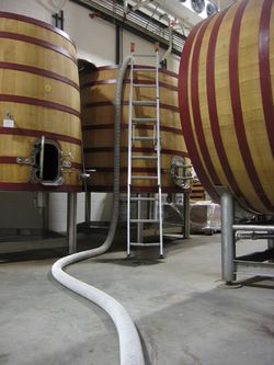 First_Syrah_2009_0006 First_Syrah_2009_0006