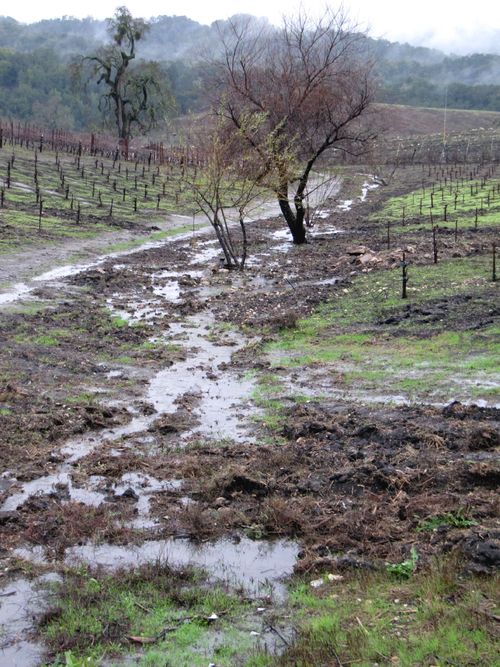 Rainy_tablas_0008 Rainy_tablas_0008