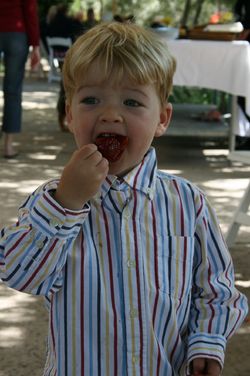 WineFest_2010_0001