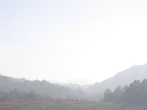 Misty_morning_0006