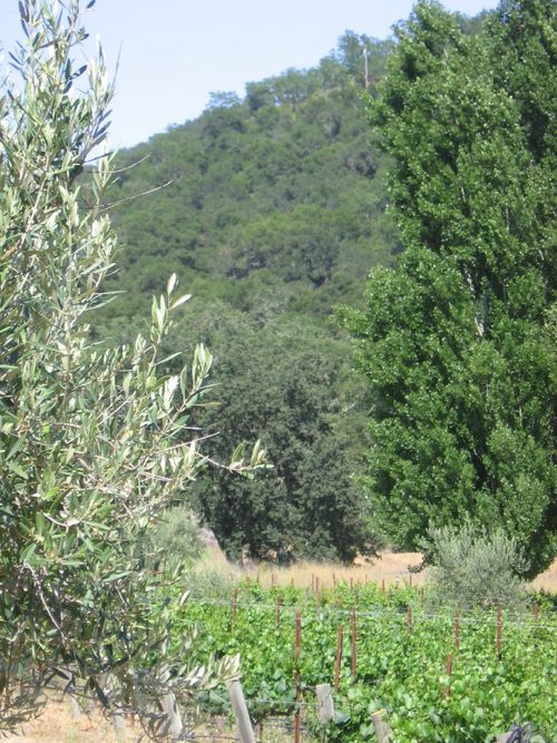 Shades_of_green