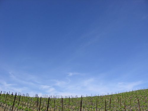 Spring09_0022