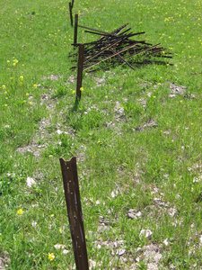 Posts Posts