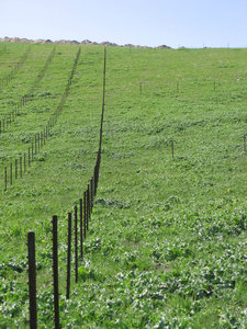 Posts_geometry Posts_geometry