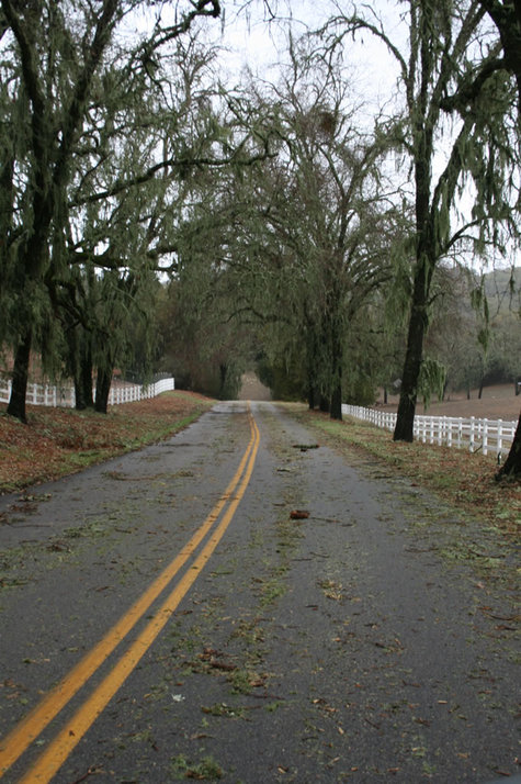 Road_debris Road_debris