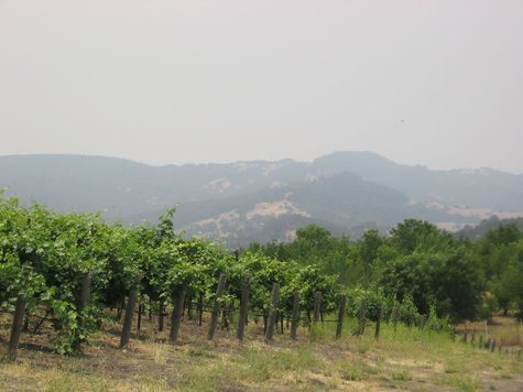 Smoky_day Smoky_day