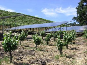 Solar_panels Solar_panels