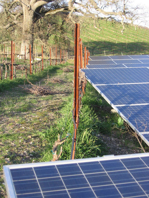 Solar_panels_and_mourvedre Solar_panels_and_mourvedre