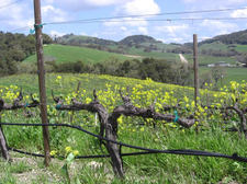 Spring_tablas_1 Spring_tablas_1