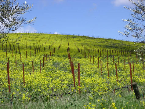 Spring_tablas_3 Spring_tablas_3