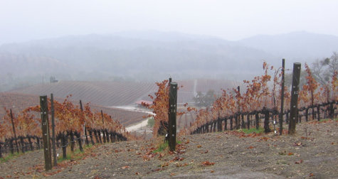 Stormy_morning_1 Stormy_morning_1