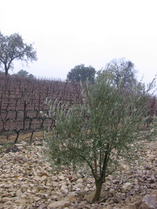 Stormy_morning_3 Stormy_morning_3