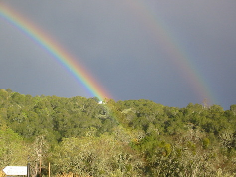 Tom_rainbow_2 Tom_rainbow_2